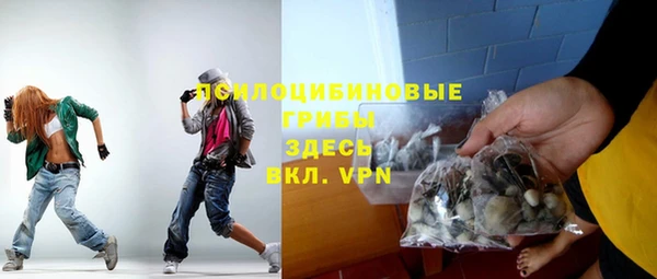 сатива Фурманов