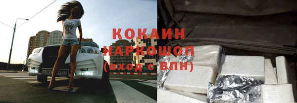 сатива Фурманов