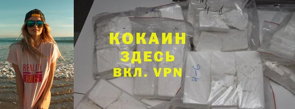сатива Фурманов