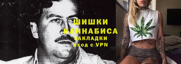 сатива Фурманов
